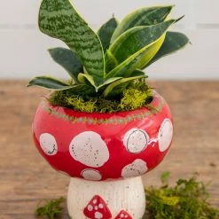 Natural Life Mushroom Trinket Bowl Candle 11 Natural Life Mushroom Trinket Bowl Candle -Natural Life Shop CNDL094 2 scaled