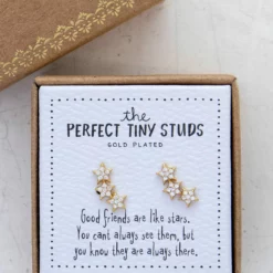 Natural Life Perfect Tiny Stud Earrings - Star -Natural Life Shop ERNG059 google scaled