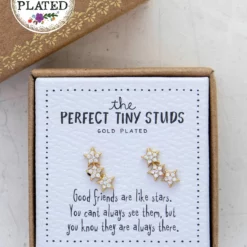 Natural Life Perfect Tiny Stud Earrings - Star