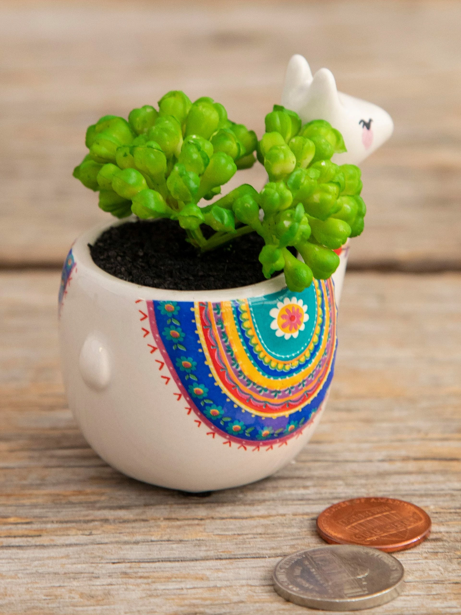 Natural Life Tiny Faux Succulents - Llama 4 Natural Life Tiny Faux Succulents - Llama - Image 2