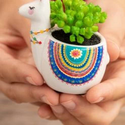 Natural Life Tiny Faux Succulents - Llama 8 Natural Life Tiny Faux Succulents - Llama -Natural Life Shop Faux Critter Succulents 20Grey Llama A2 scaled