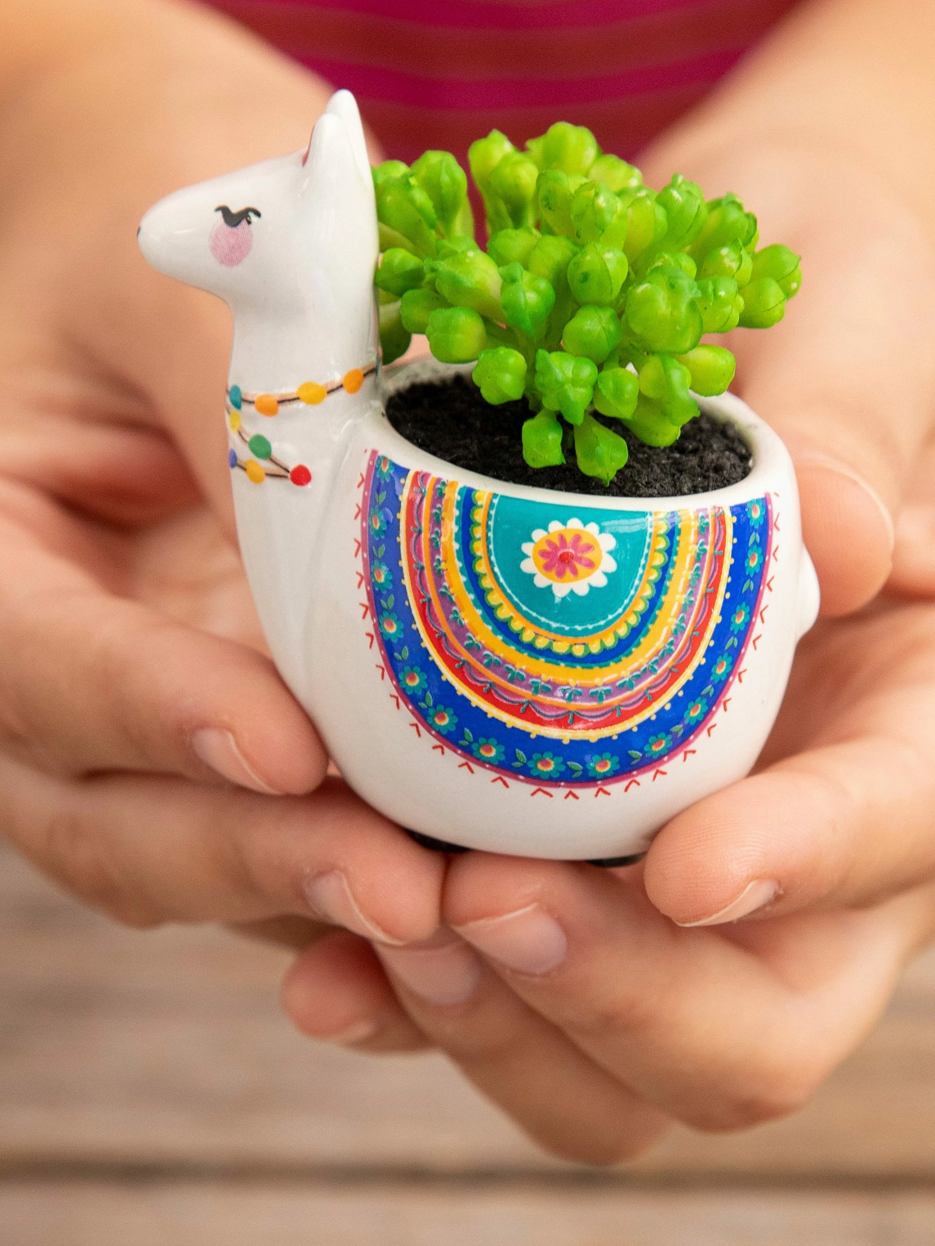 Natural Life Tiny Faux Succulents - Llama 5 Natural Life Tiny Faux Succulents - Llama - Image 3