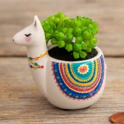 Natural Life Tiny Faux Succulents - Llama