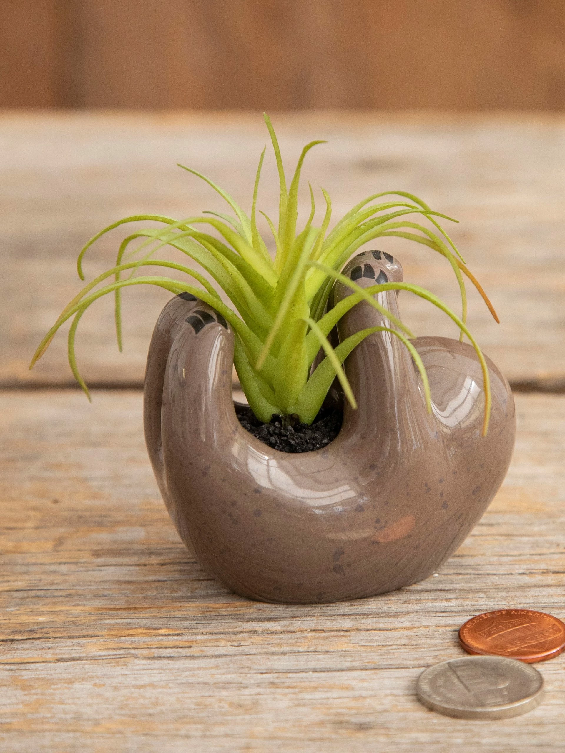 Natural Life Tiny Faux Succulents - Grey Sloth 5 Natural Life Tiny Faux Succulents - Grey Sloth - Image 3