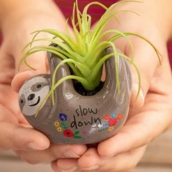 Natural Life Tiny Faux Succulents - Grey Sloth