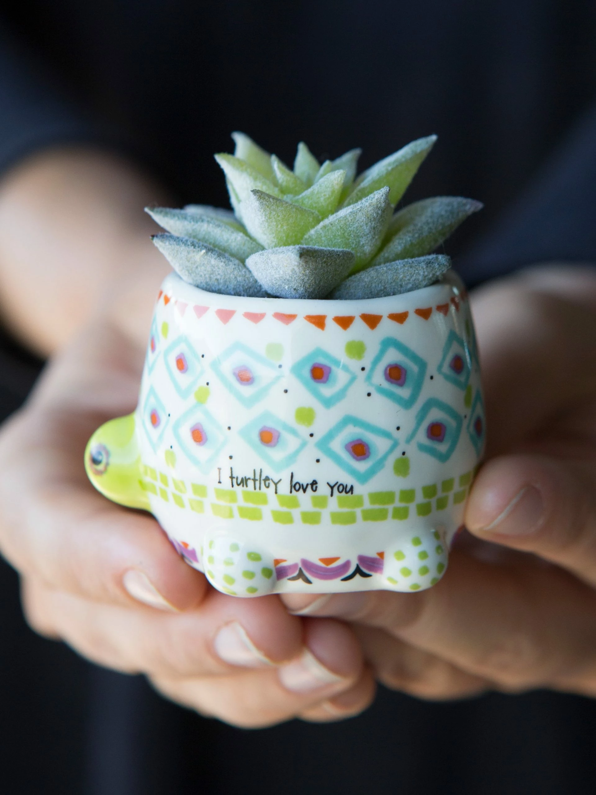 Natural Life Tiny Faux Succulents - Turtle 4 Natural Life Tiny Faux Succulents - Turtle - Image 2