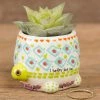 Natural Life Tiny Faux Succulents - Turtle -Natural Life Shop PLNT010 scaled