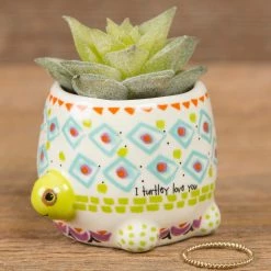 Natural Life Tiny Faux Succulents - Turtle
