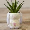 Natural Life Tiny Faux Succulents - Bunny 2 Natural Life Tiny Faux Succulents - Bunny -Natural Life Shop PLNT056 4d10ec1f 5f41 4e6c 815d 01e8463bb258 scaled