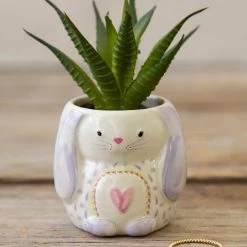 Natural Life Tiny Faux Succulents - Bunny