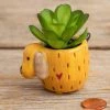 Natural Life Tiny Faux Succulents - Dog -Natural Life Shop PLNT064 1 scaled