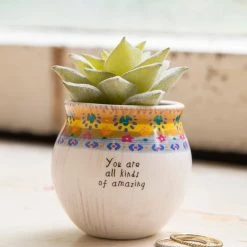 Natural Life Mini Faux Succulent Plant - Amazing