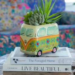 Natural Life Critter Ceramic Indoor Planter - Daisy The Van