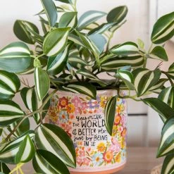 Natural Life Artisan Terracotta Indoor Planter, Medium - World Better -Natural Life Shop PLNT091 A1 scaled