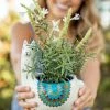 Natural Life Critter Ceramic Indoor Planter - Lesli The Llama -Natural Life Shop Planter Llama scaled