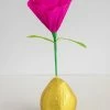 Natural Life Flower Surprise Ball -Natural Life Shop SURPRISEBALL15 scaled