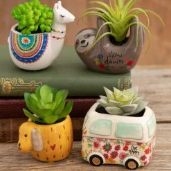 Natural Life Tiny Faux Succulents - Grey Sloth 9 Natural Life Tiny Faux Succulents - Grey Sloth -Natural Life Shop faux critter succulents bffff070 8bdf 4da6 a1e0 832b8b16b824 scaled